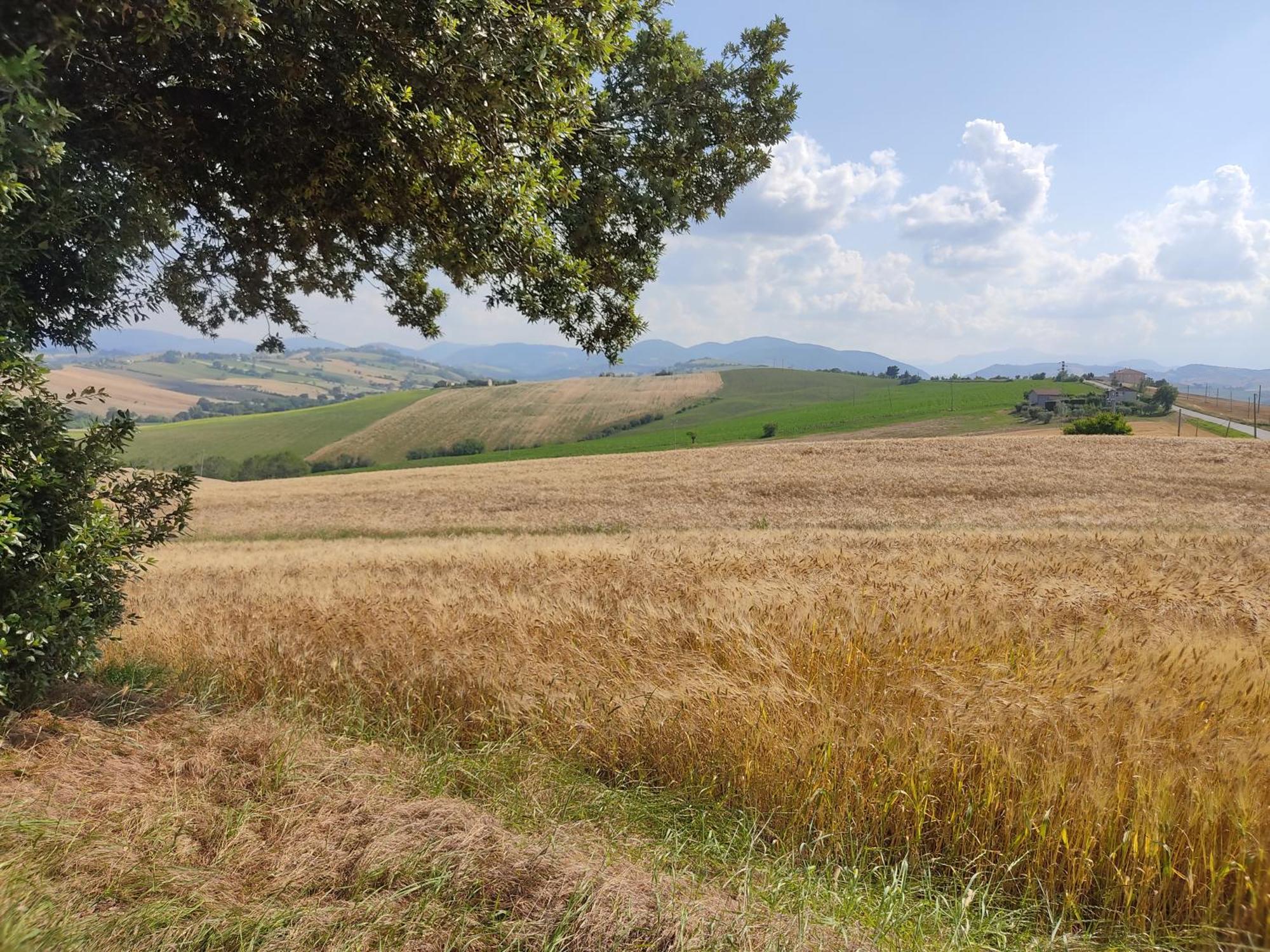 Castelleone di Suasa Casa Borgo Fonte 빌라 외부 사진