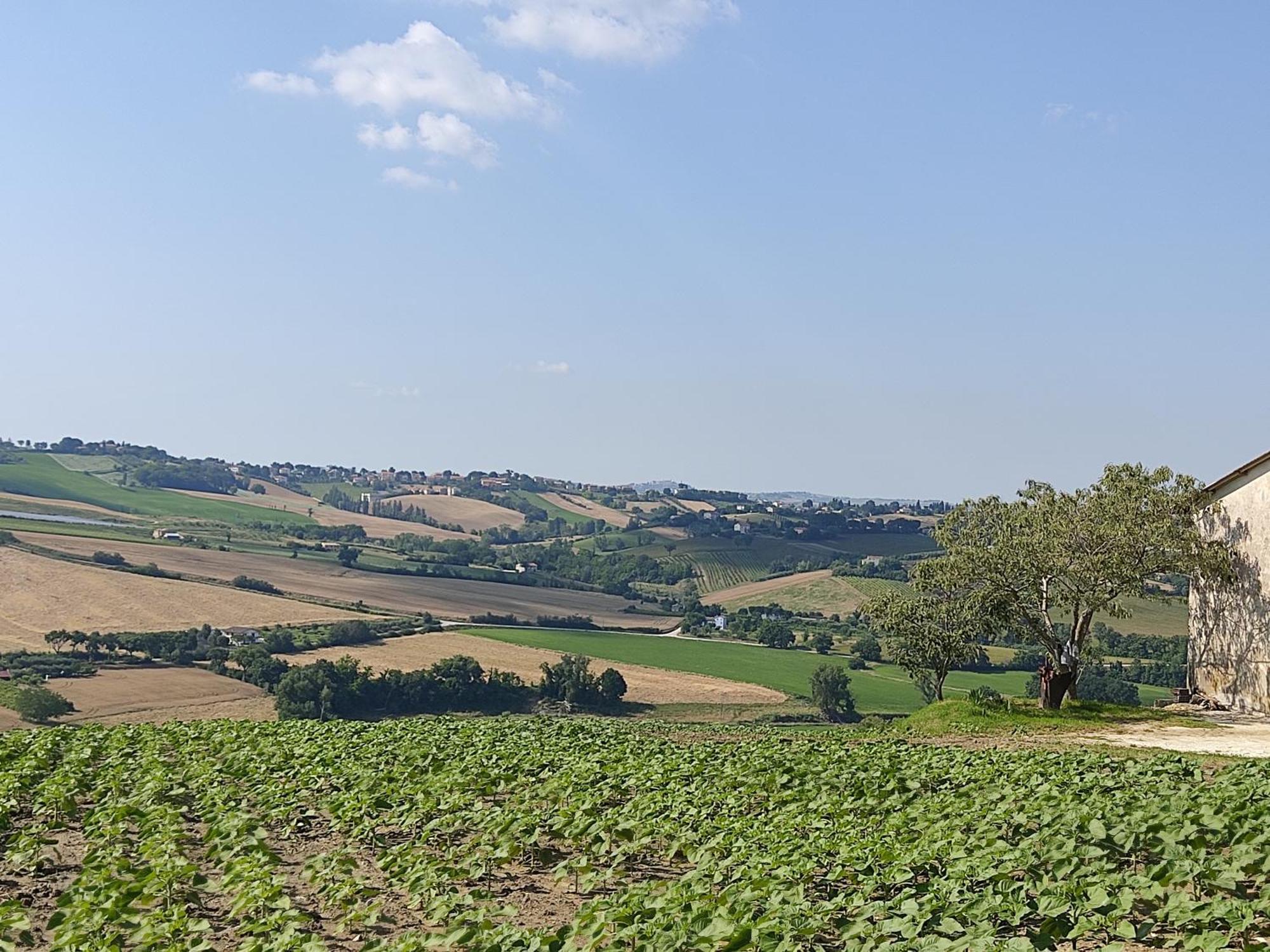 Castelleone di Suasa Casa Borgo Fonte 빌라 외부 사진