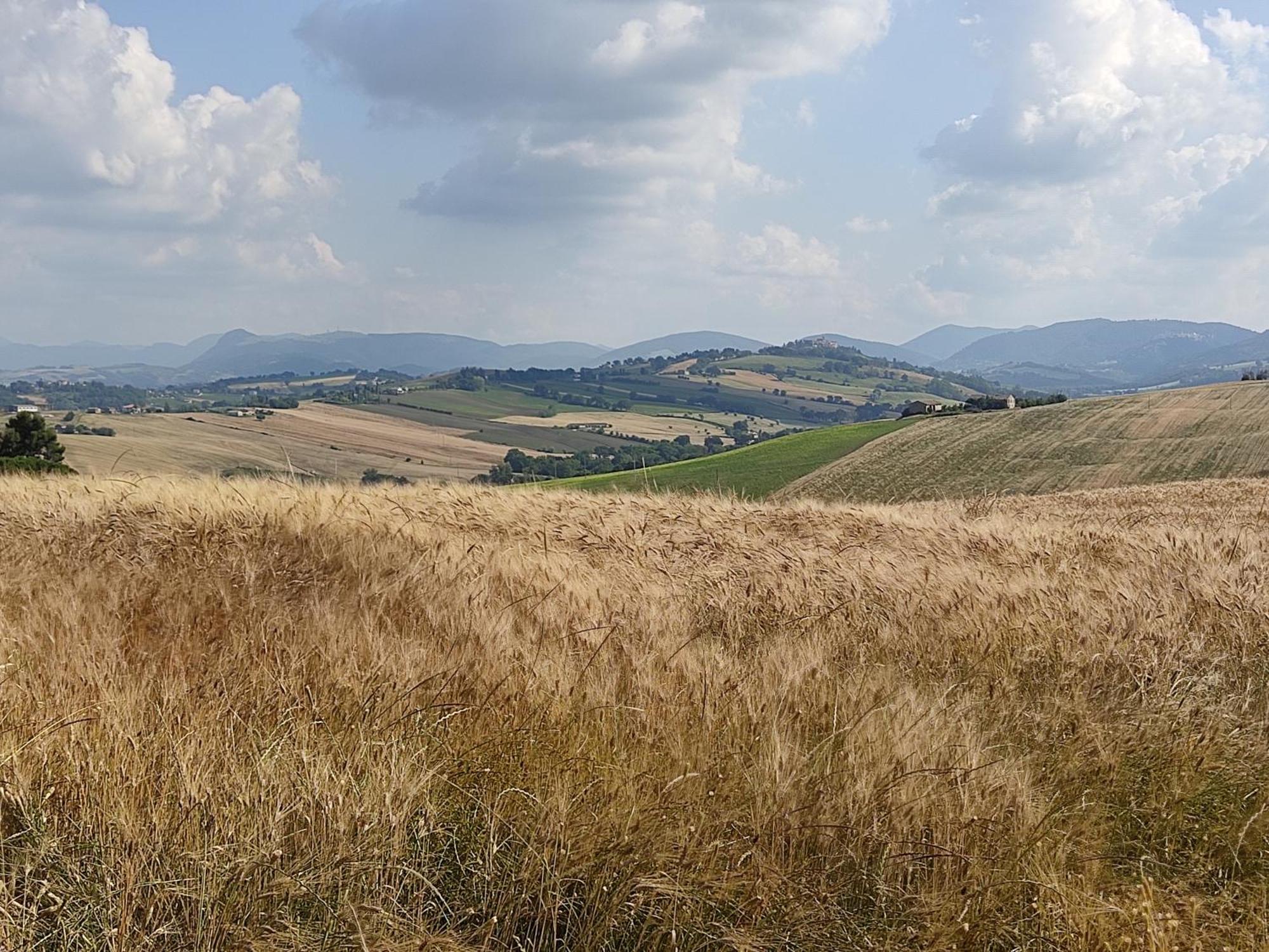 Castelleone di Suasa Casa Borgo Fonte 빌라 외부 사진