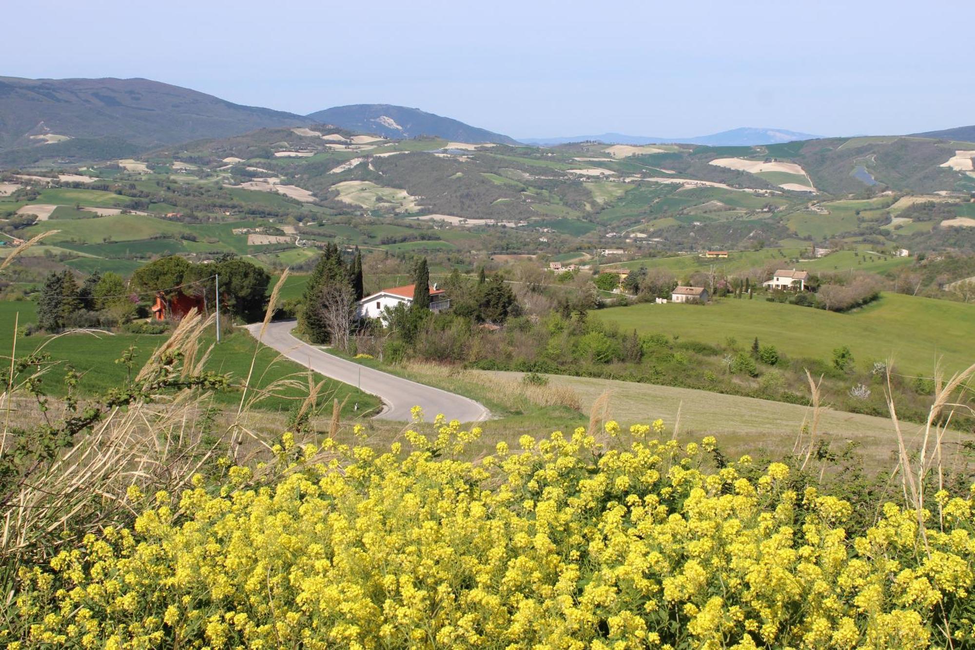 Castelleone di Suasa Casa Borgo Fonte 빌라 외부 사진